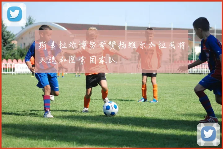 斯基拉称博努奇赞扬维尔加拉或将入选加图索国家队