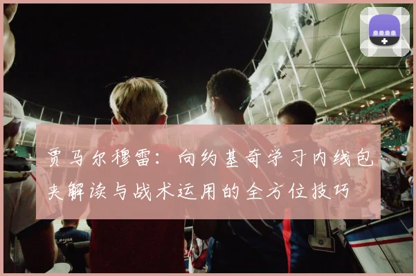 贾马尔穆雷：向约基奇学习内线包夹解读与战术运用的全方位技巧