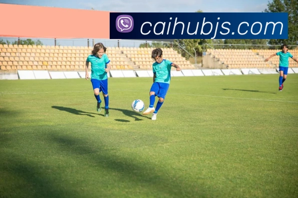 彩娱乐平台生态图